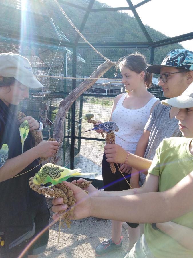 Parc Animalier Du Herisson Villa Doucier Kültér fotó