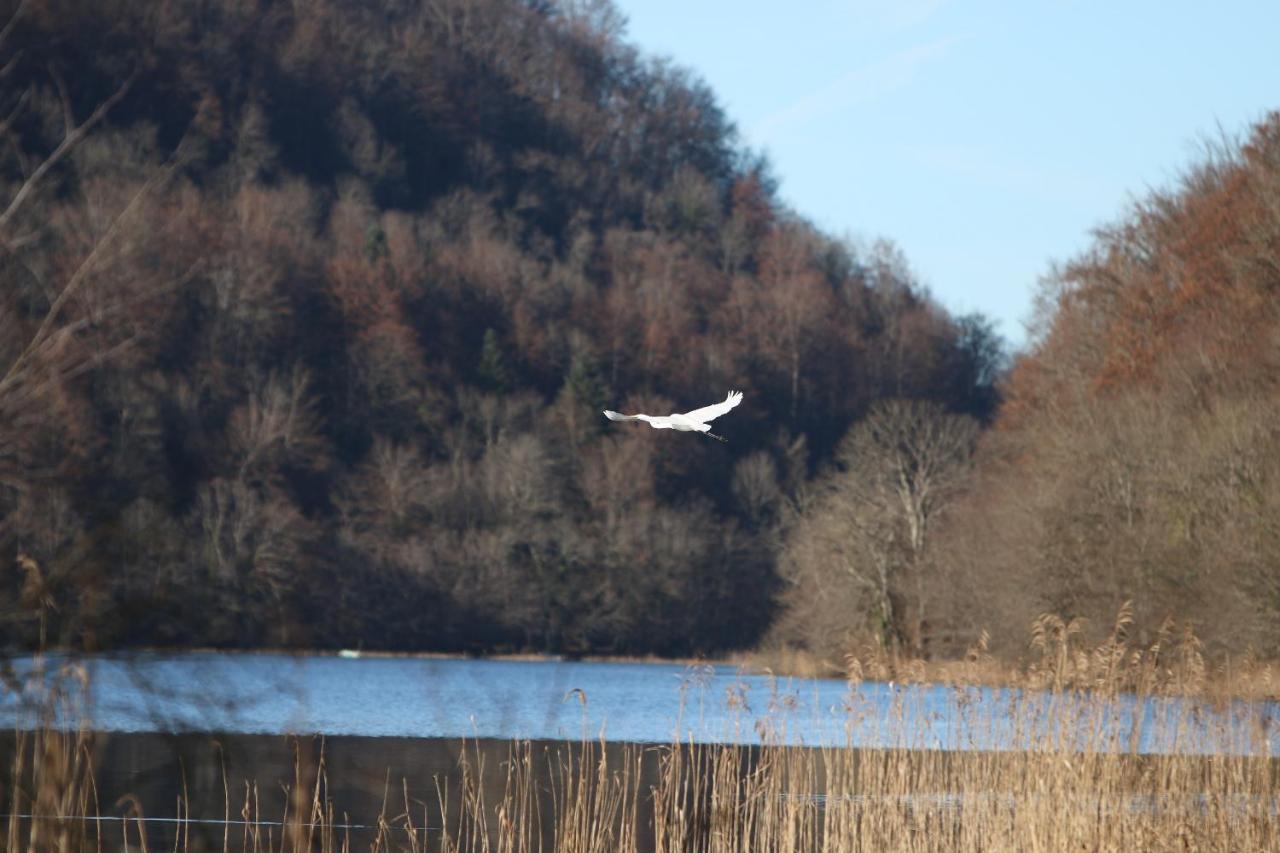 Parc Animalier Du Herisson Villa Doucier Kültér fotó