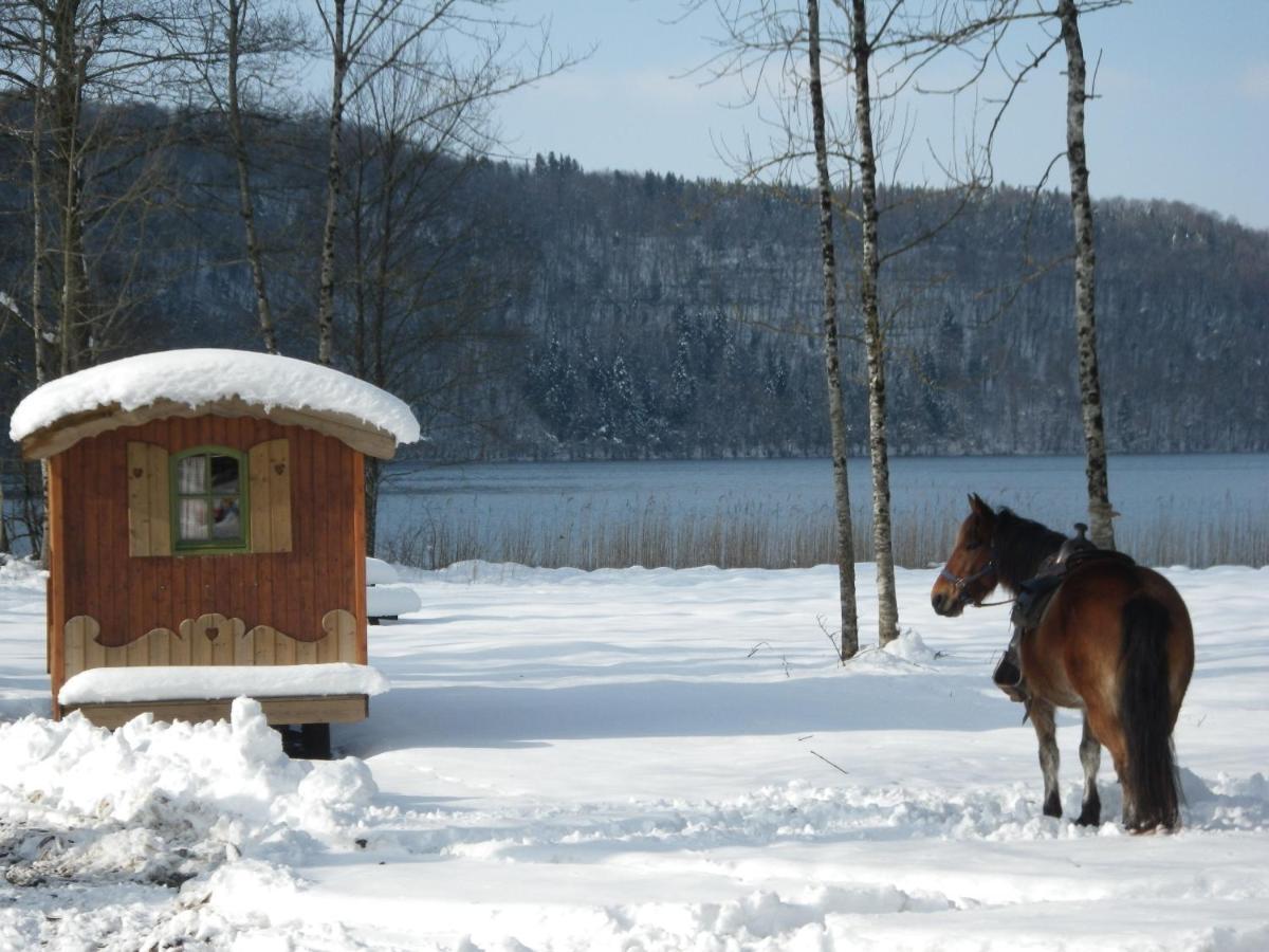 Parc Animalier Du Herisson Villa Doucier Kültér fotó