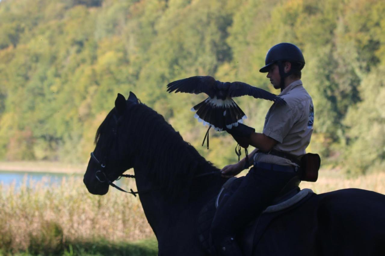 Parc Animalier Du Herisson Villa Doucier Kültér fotó