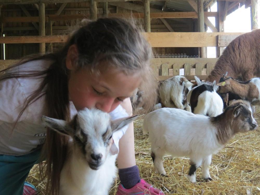 Parc Animalier Du Herisson Villa Doucier Kültér fotó