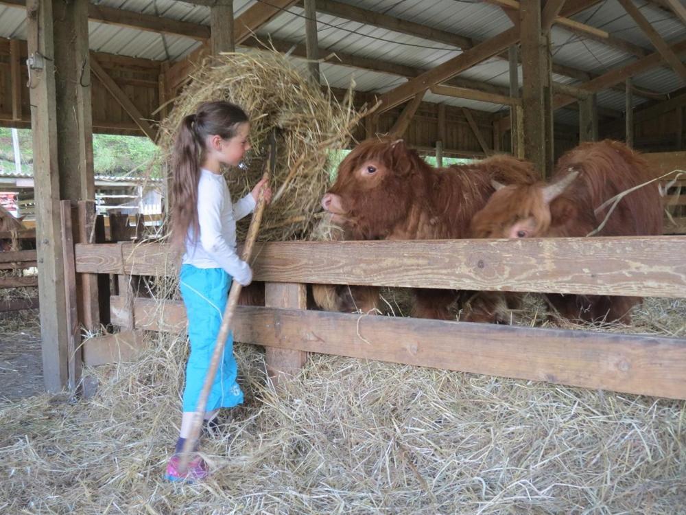 Parc Animalier Du Herisson Villa Doucier Kültér fotó