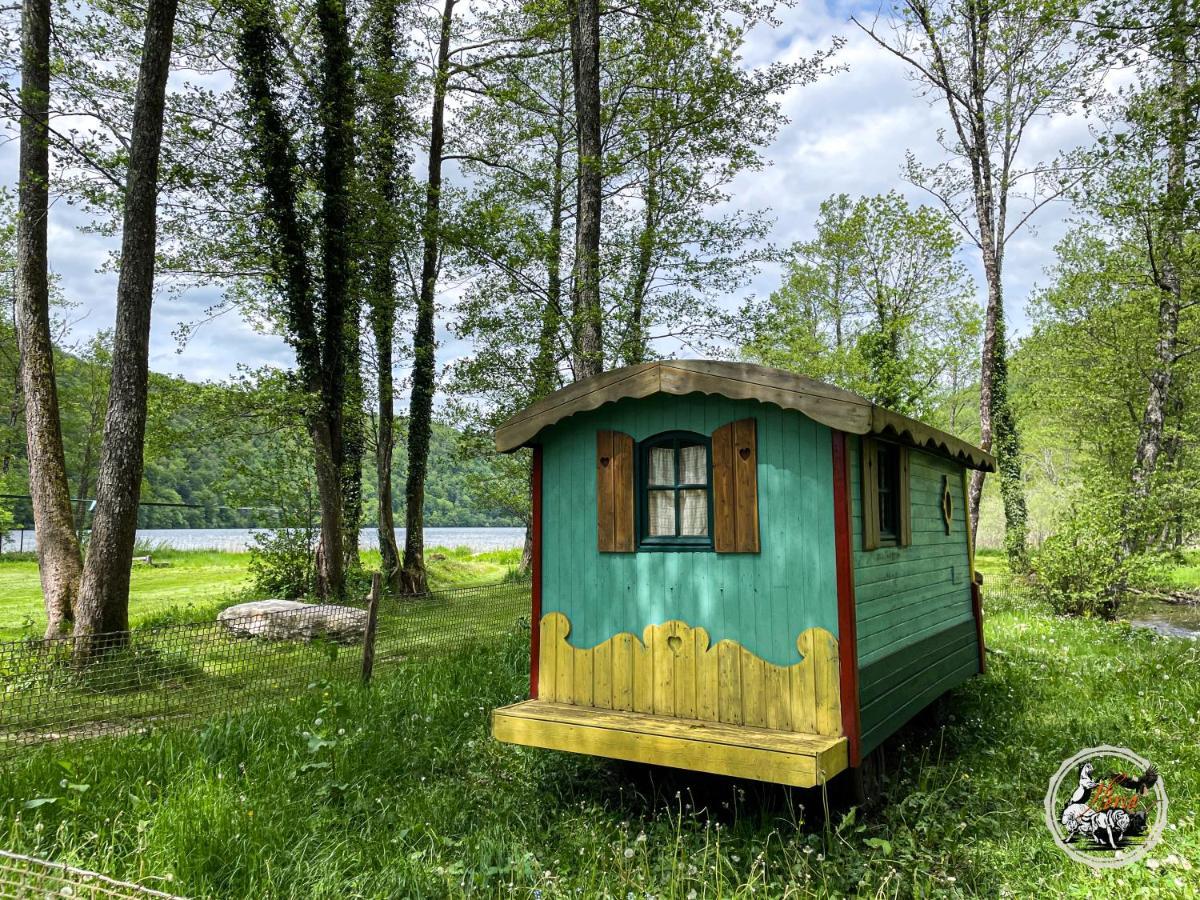 Parc Animalier Du Herisson Villa Doucier Kültér fotó