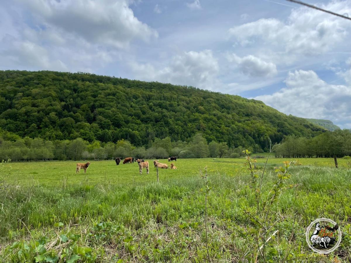 Parc Animalier Du Herisson Villa Doucier Kültér fotó